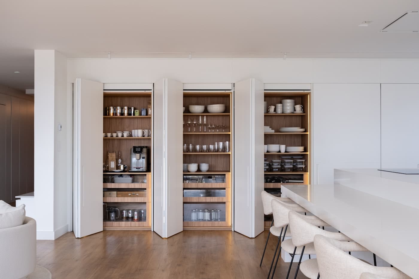 Organized pantry shelves with household storage